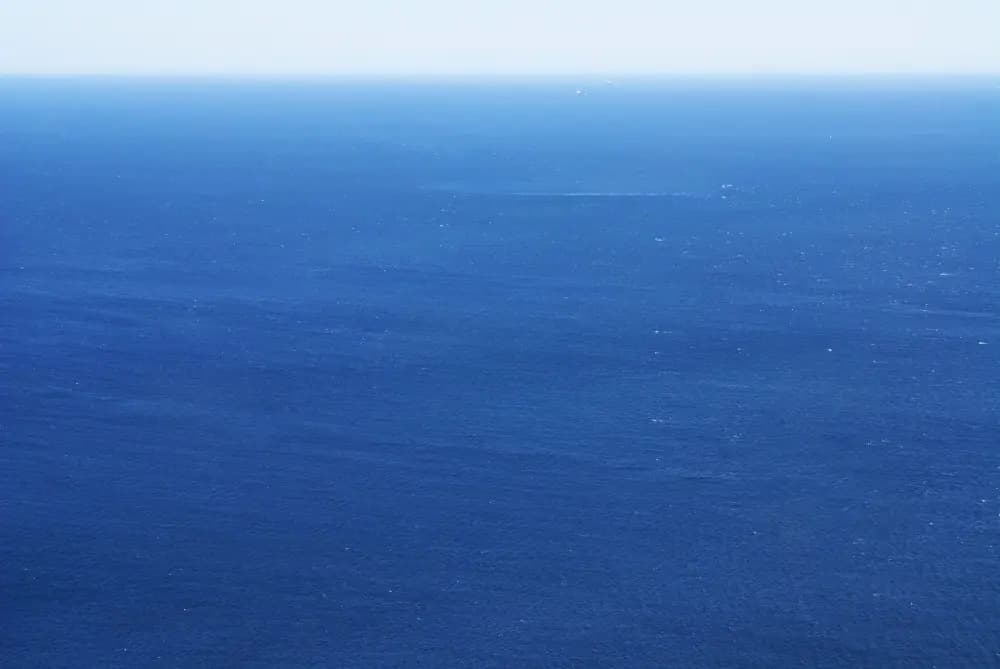 After Object Removal